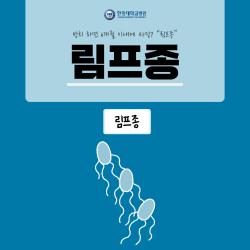 방치하면 6개월 이내 사망? "림프종"